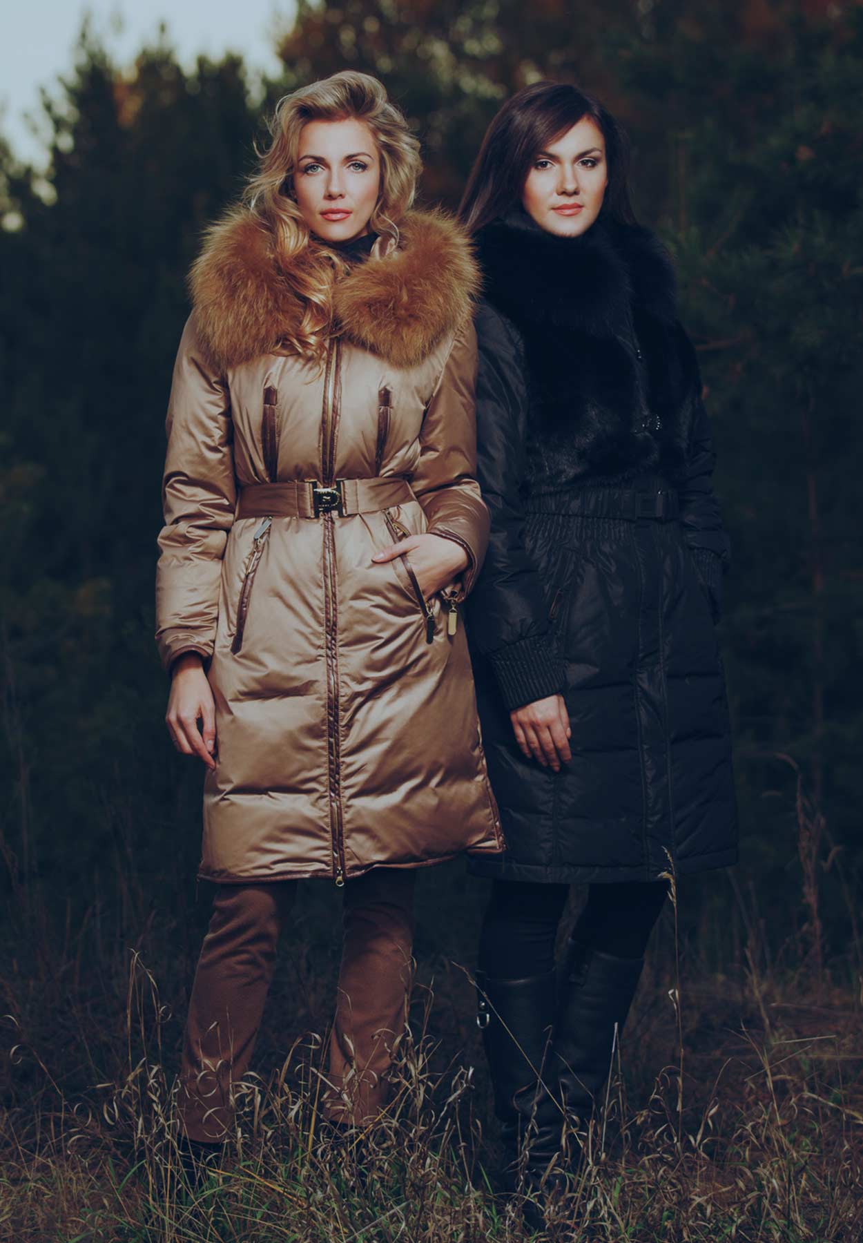 portfolio_item_2_col2